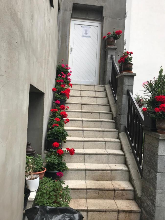 布拉迪斯拉发 维罗旅馆酒店 外观 照片